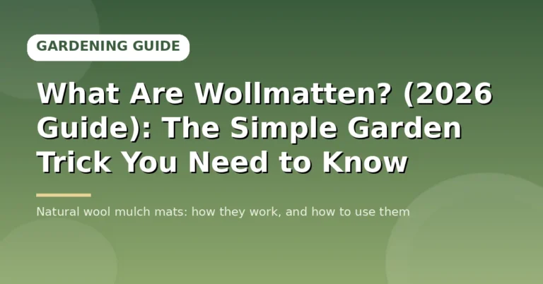 What Are Wollmatten? (2026 Guide): The Simple Garden Trick You Need to Know Wollmatten
